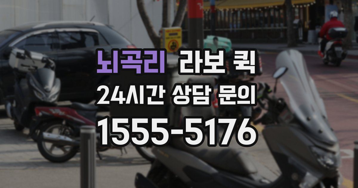 뇌곡리 라보 퀵