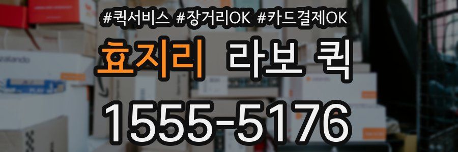 효지리 라보 퀵