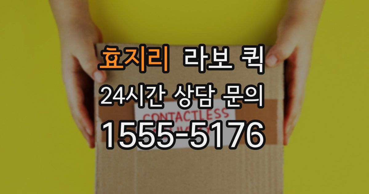 효지리 라보 퀵