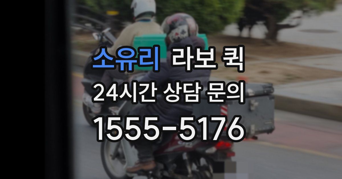 소유리 라보 퀵