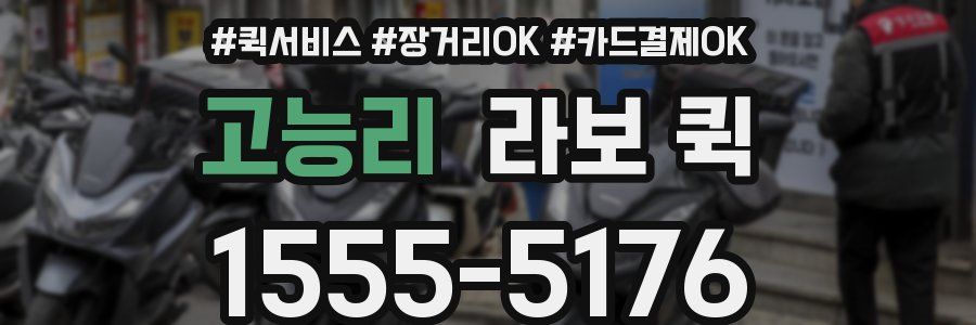 고능리 라보 퀵
