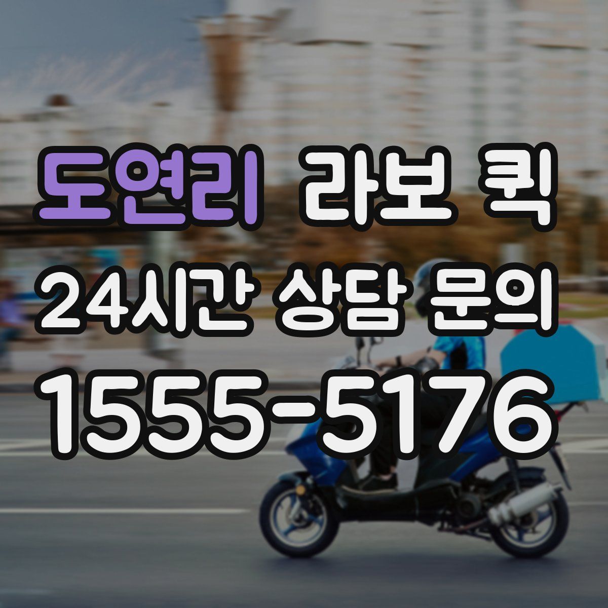 도연리 라보 퀵