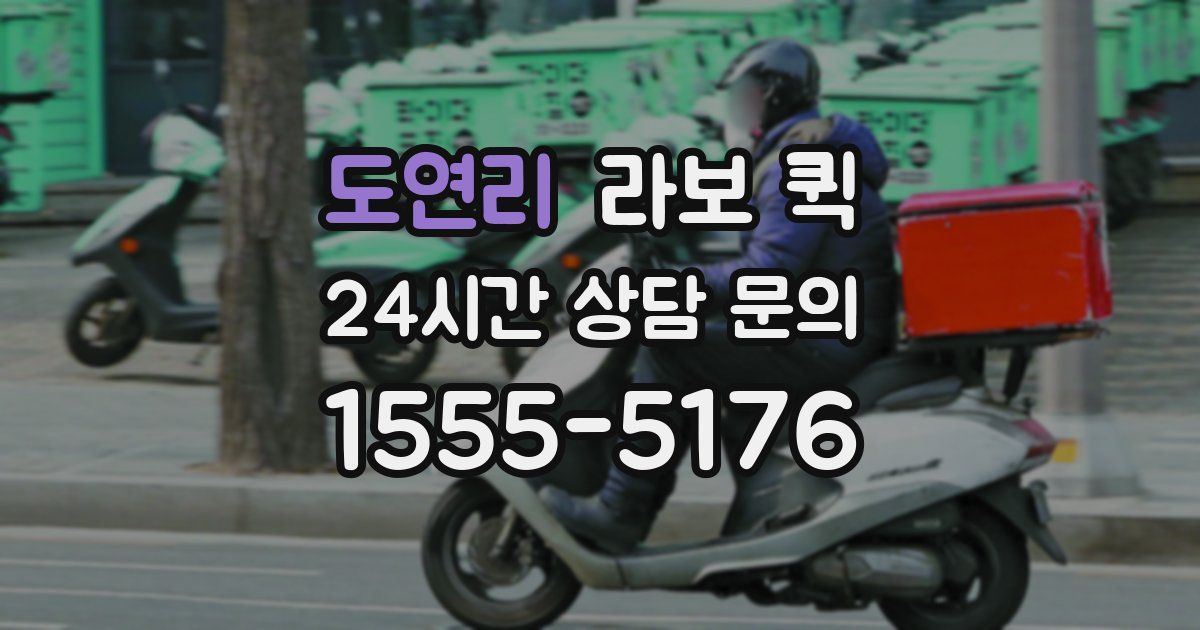 도연리 라보 퀵