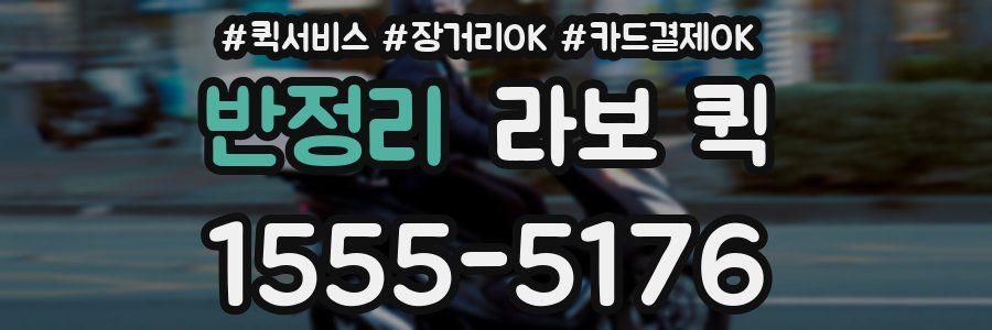 반정리 라보 퀵