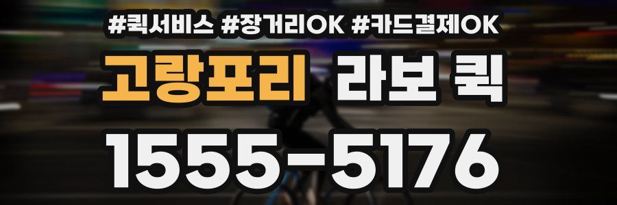 고랑포리 라보 퀵