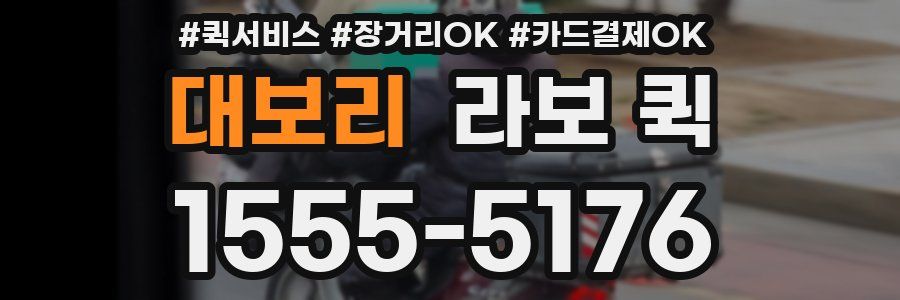 대보리 라보 퀵