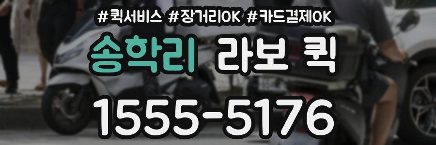 송학리 라보 퀵