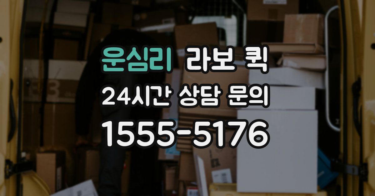 운심리 라보 퀵