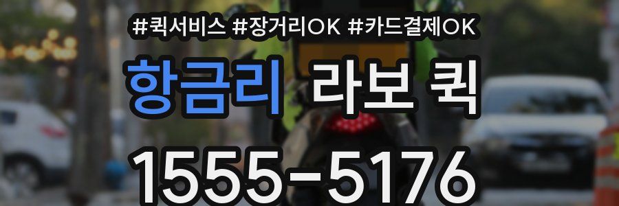 항금리 라보 퀵