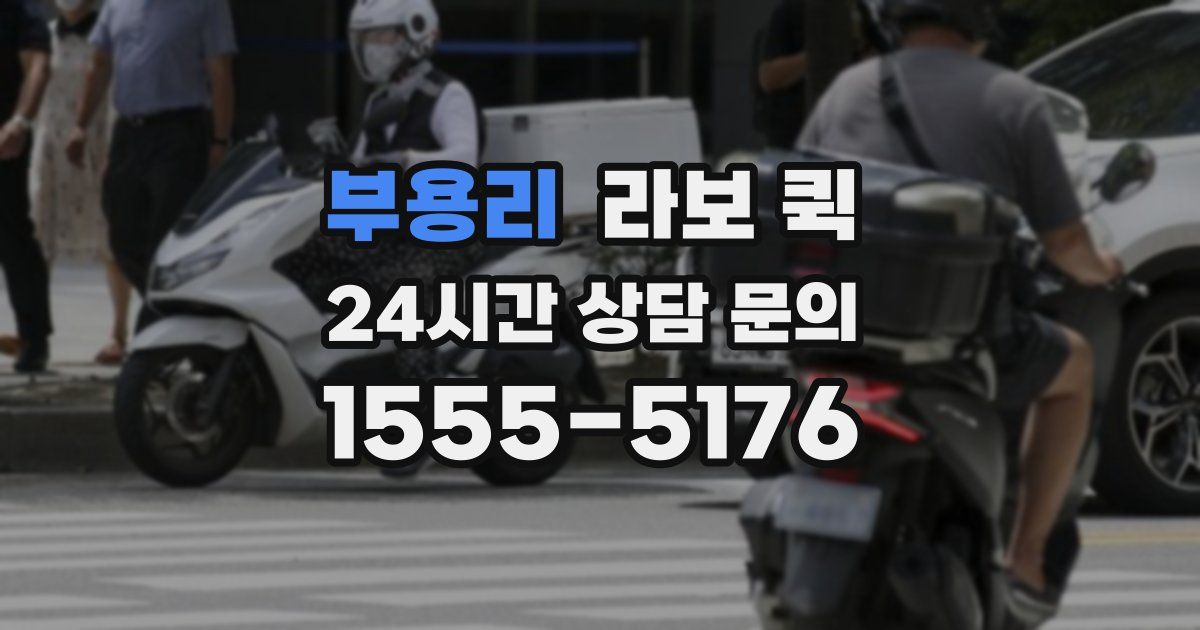 부용리 라보 퀵