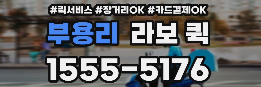 부용리 라보 퀵