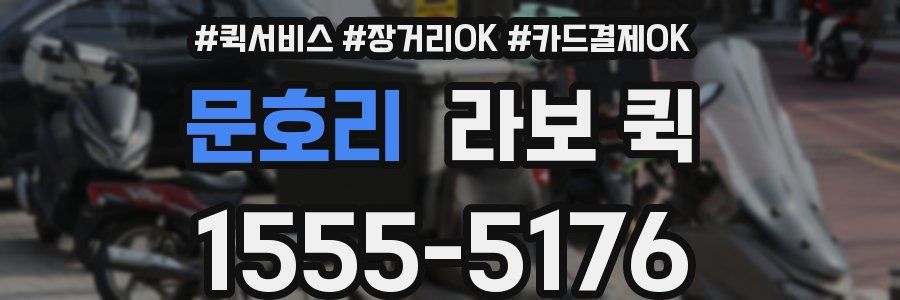 문호리 라보 퀵