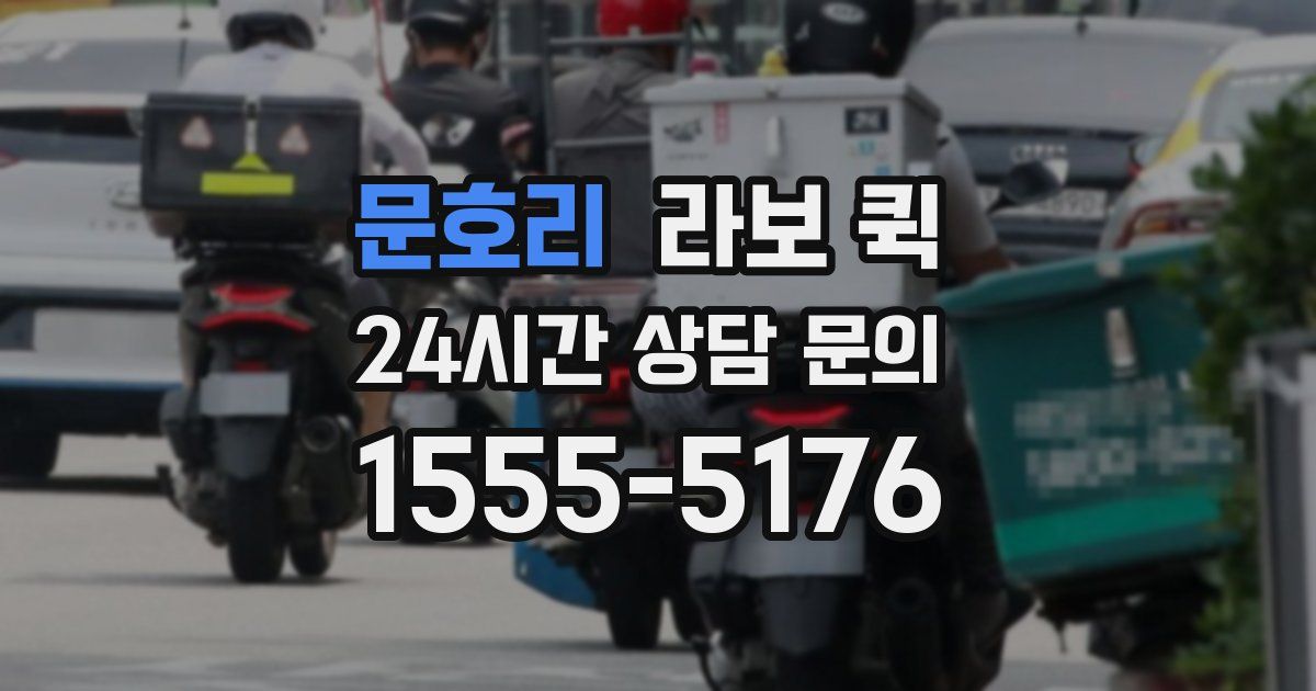 문호리 라보 퀵