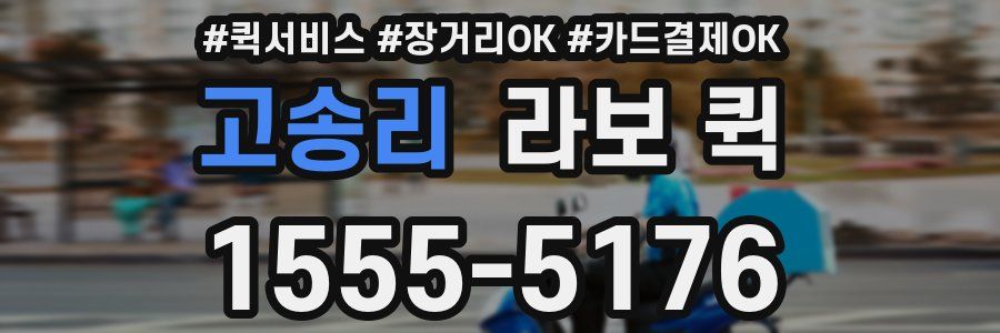 고송리 라보 퀵