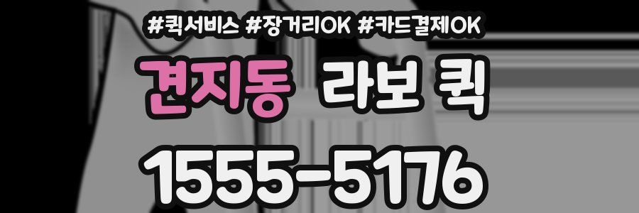 견지동 라보 퀵