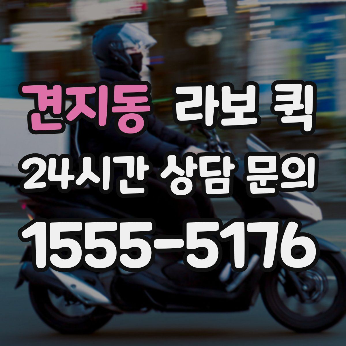 견지동 라보 퀵