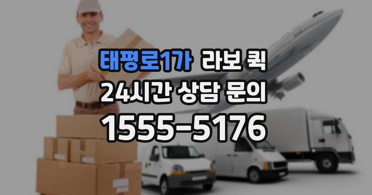 태평로1가 라보 퀵