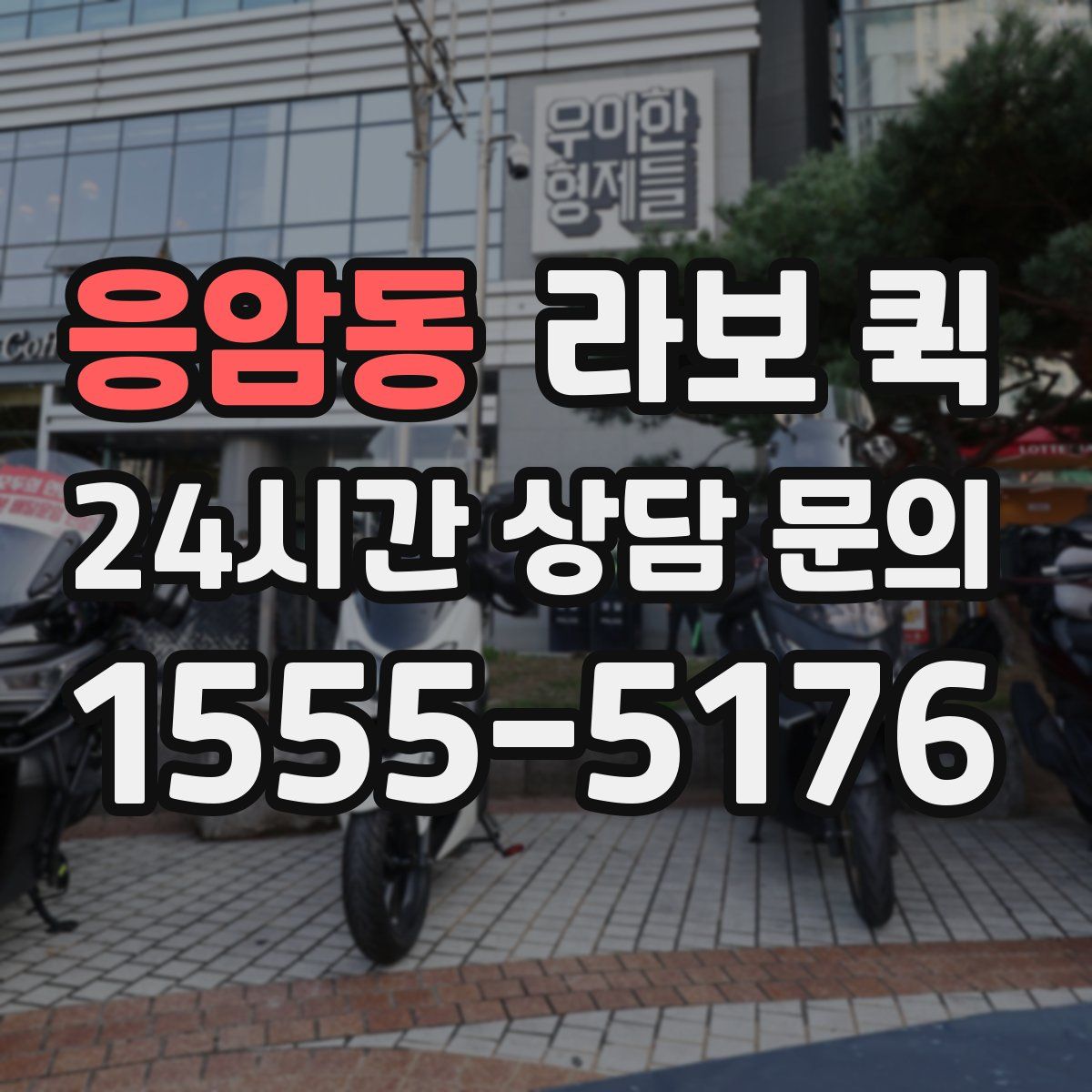 응암동 라보 퀵