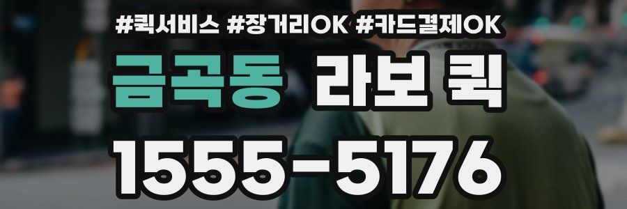 금곡동 라보 퀵