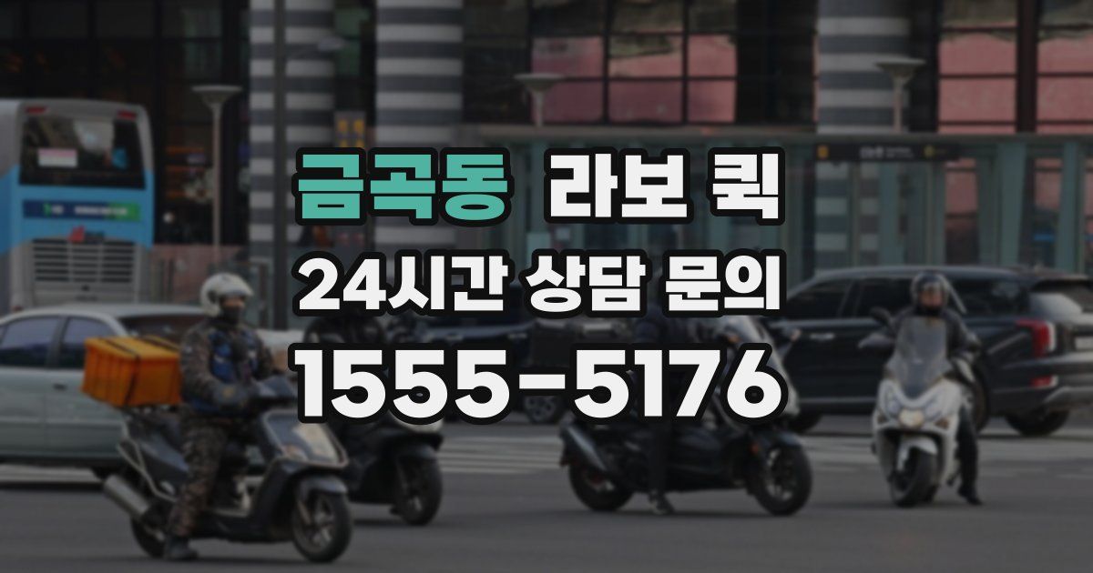 금곡동 라보 퀵