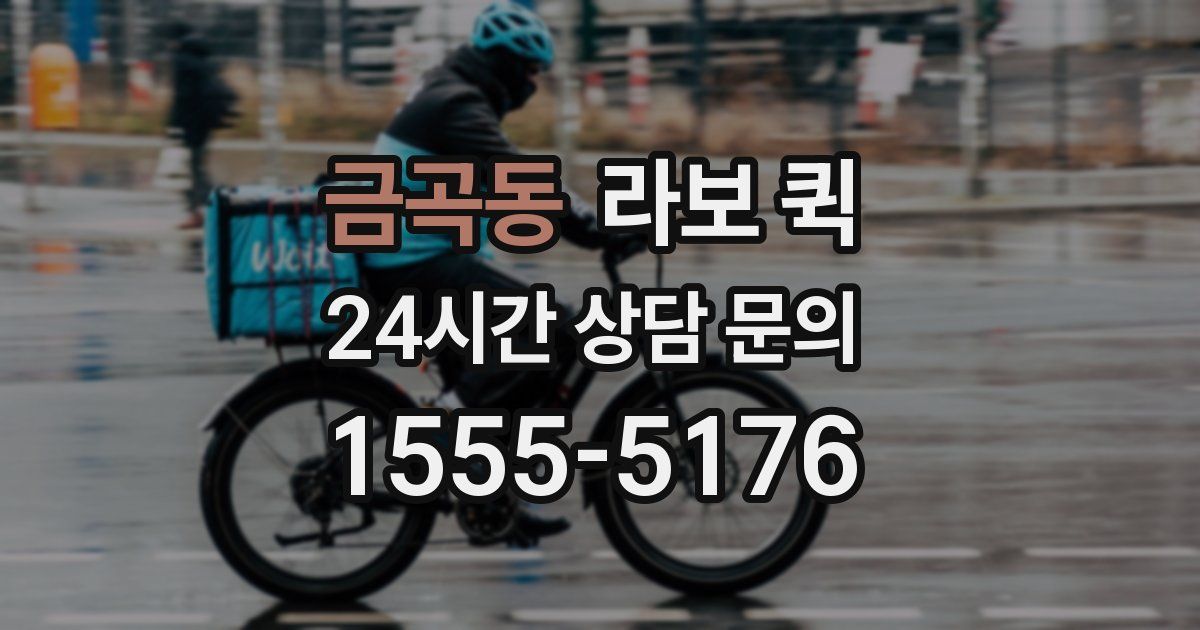 금곡동 라보 퀵