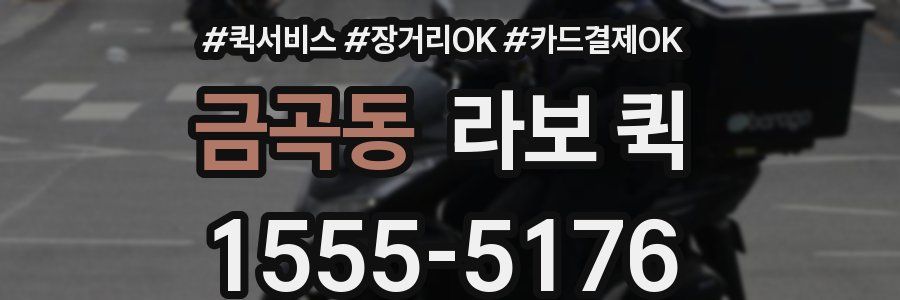 금곡동 라보 퀵