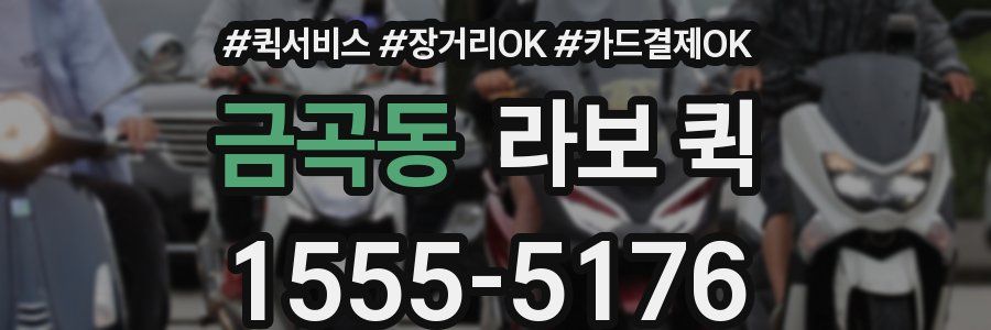 금곡동 라보 퀵