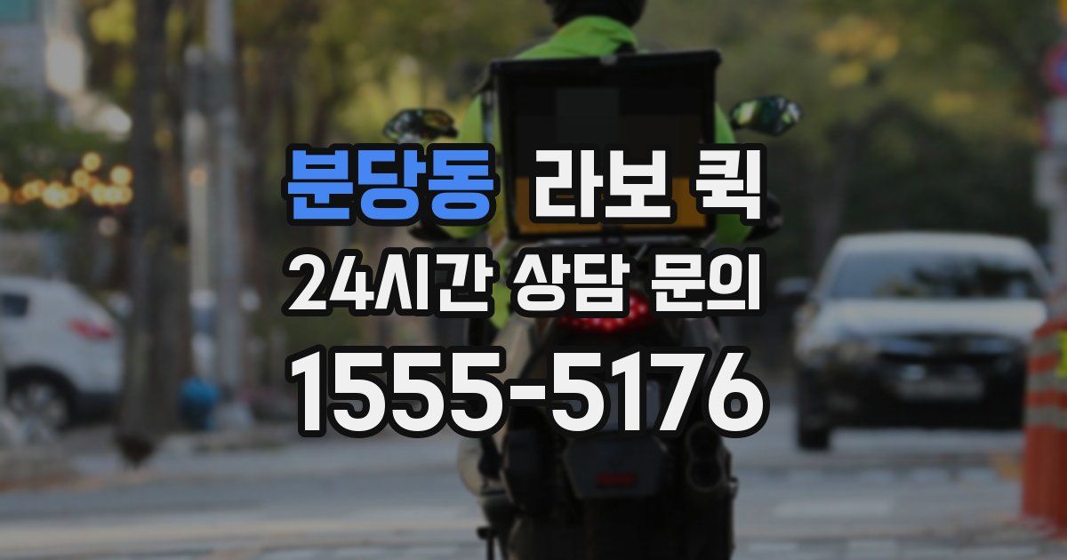 분당동 라보 퀵