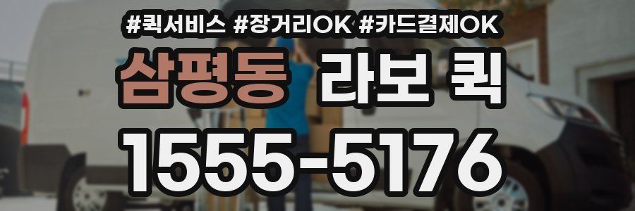 삼평동 라보 퀵