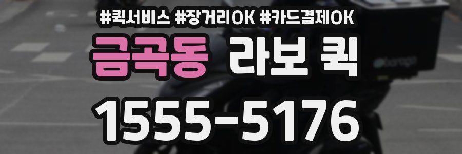 금곡동 라보 퀵