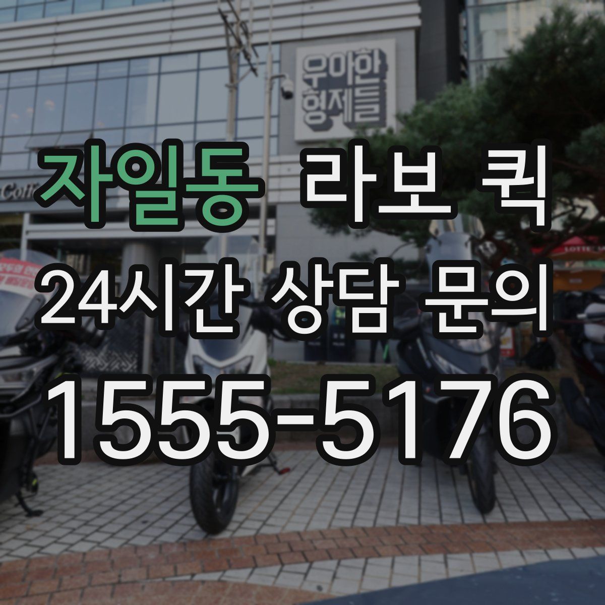 자일동 라보 퀵