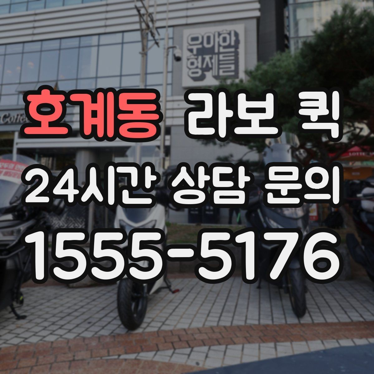호계동 라보 퀵 인쇄 마감물 당일 수령이 필요한 상황