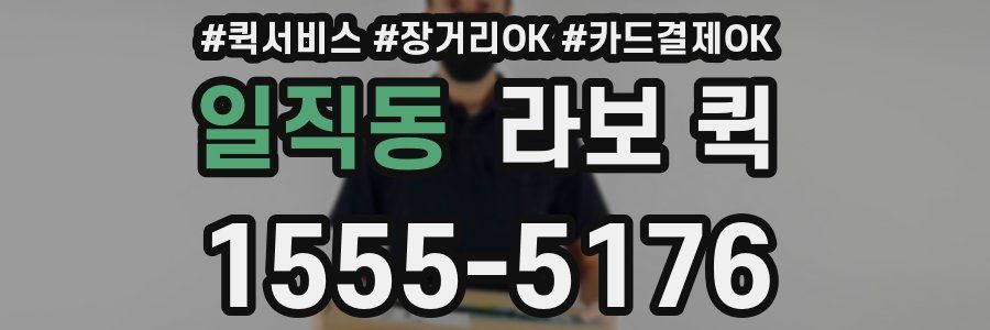 일직동 라보 퀵