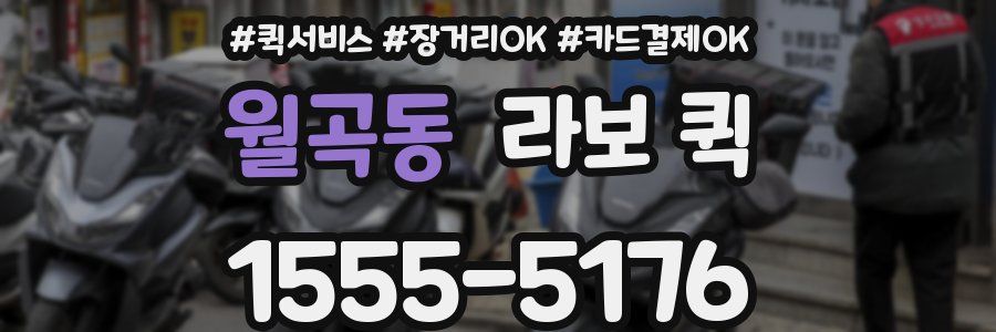 월곡동 라보 퀵