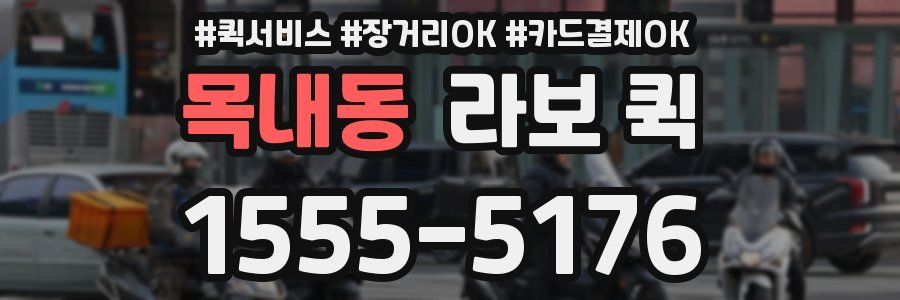 목내동 라보 퀵