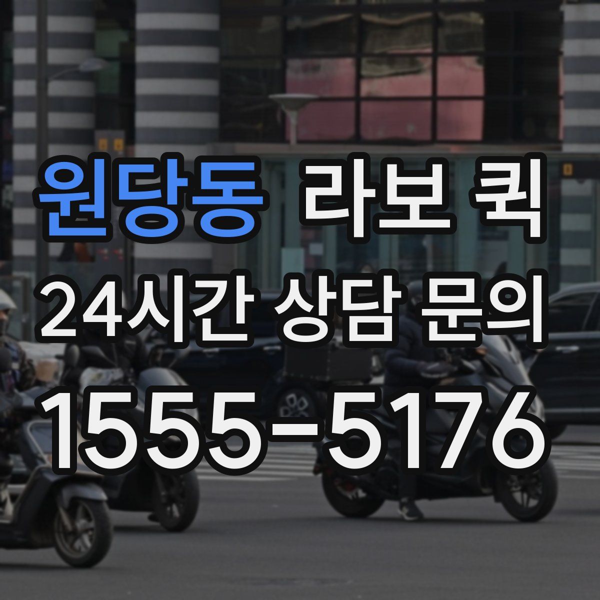 원당동 라보 퀵