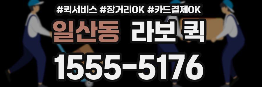 일산동 라보 퀵