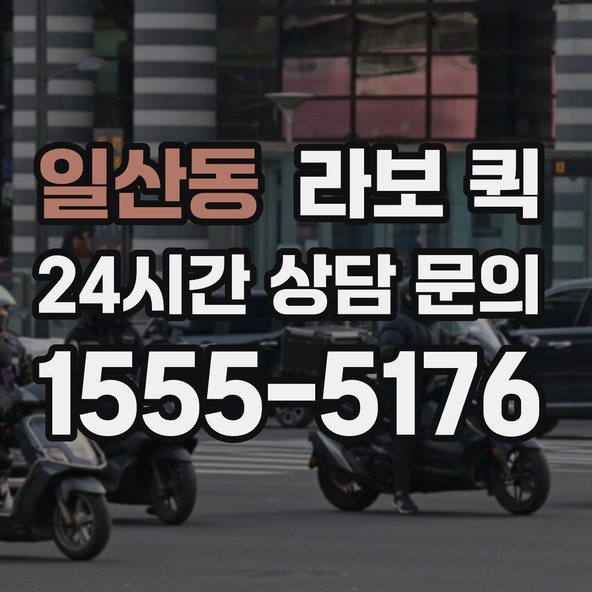 일산동 라보 퀵