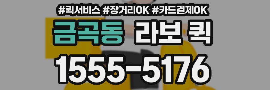 금곡동 라보 퀵