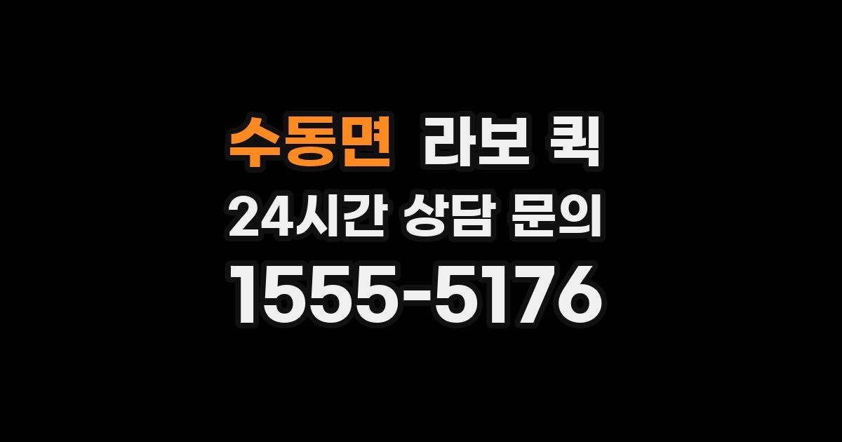 수동면 라보 퀵