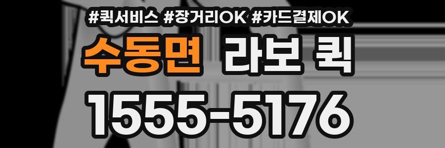 수동면 라보 퀵