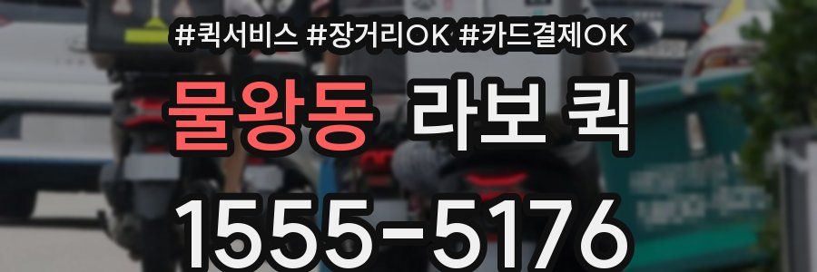 물왕동 라보 퀵