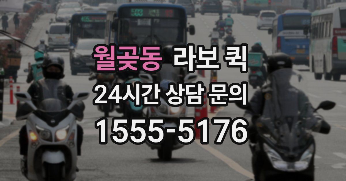 월곶동 라보 퀵