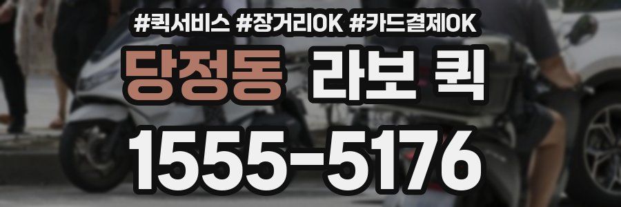 당정동 라보 퀵