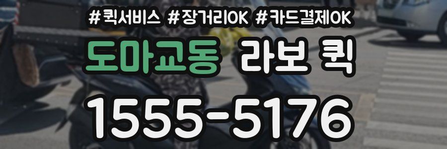 도마교동 라보 퀵