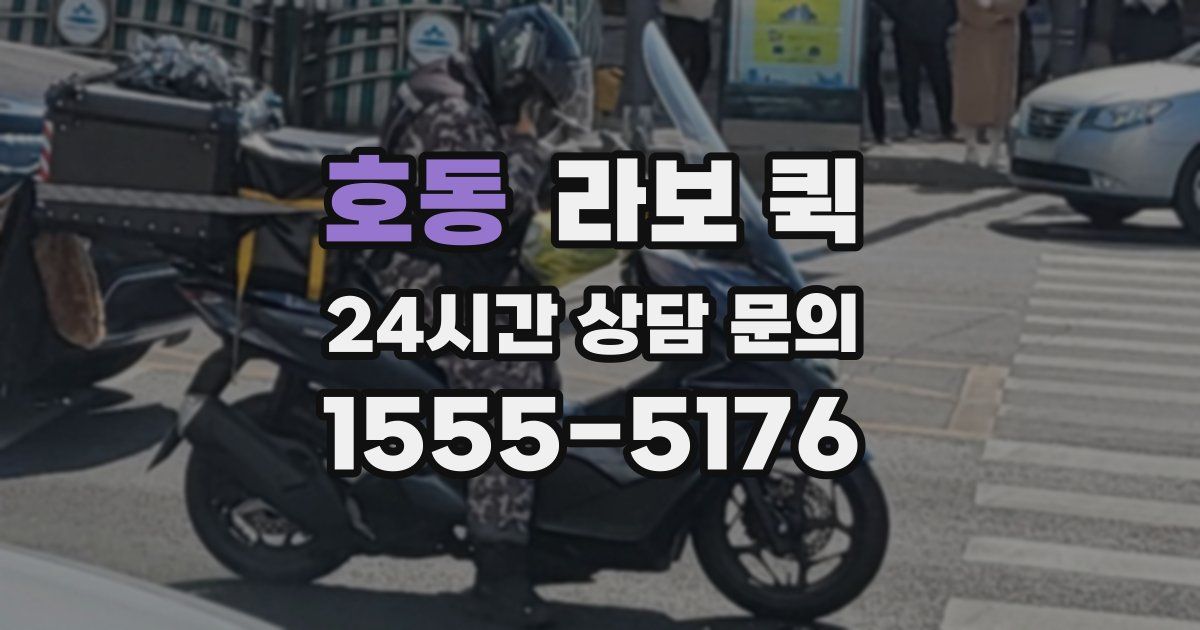 호동 라보 퀵