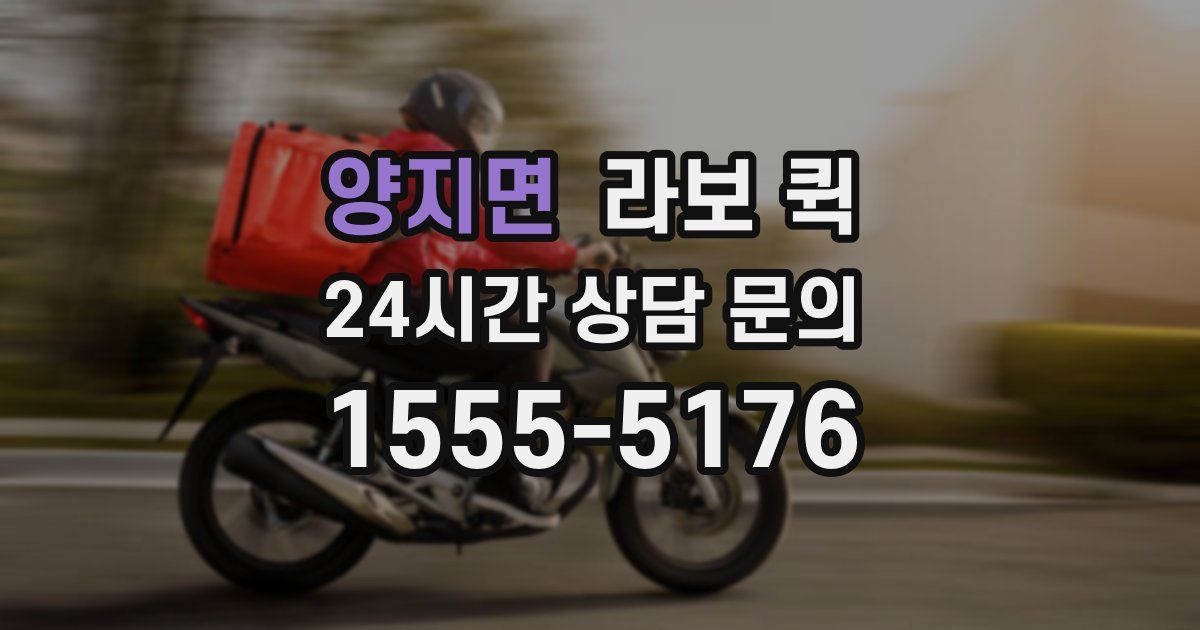 양지면 라보 퀵