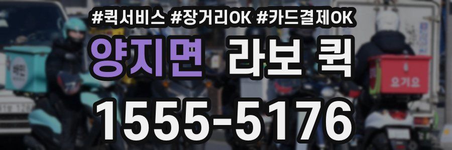 양지면 라보 퀵