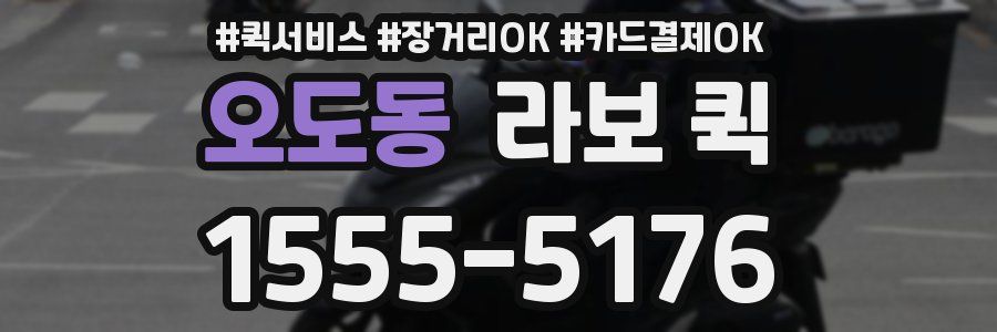 오도동 라보 퀵