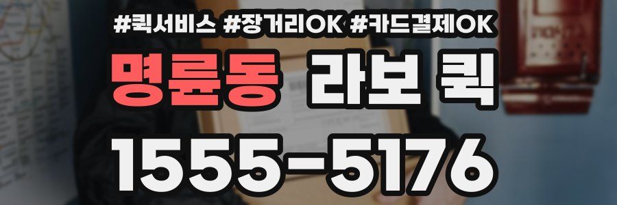 명륜동 라보 퀵